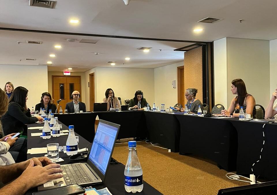 Protection and Social Integration of Refugees and Migrants in Brazil